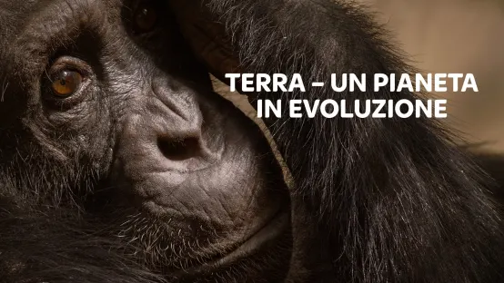 Terra - Un pianeta in evoluzione