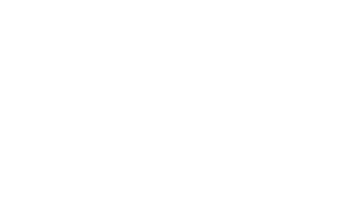Premier League 2024/2025